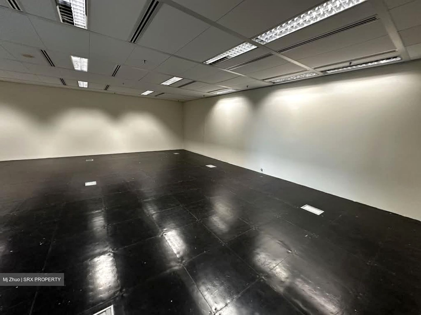 Sgx Centre Ii (D1), Office #547849991